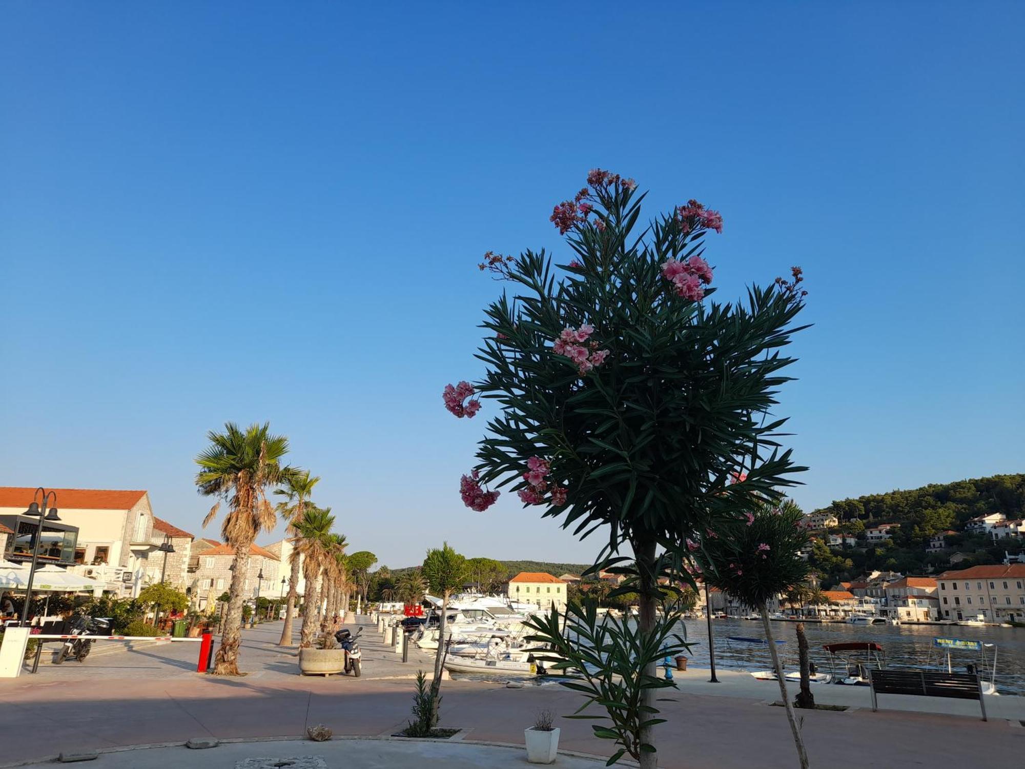 Hvar Architect'S House Pitve Luaran gambar